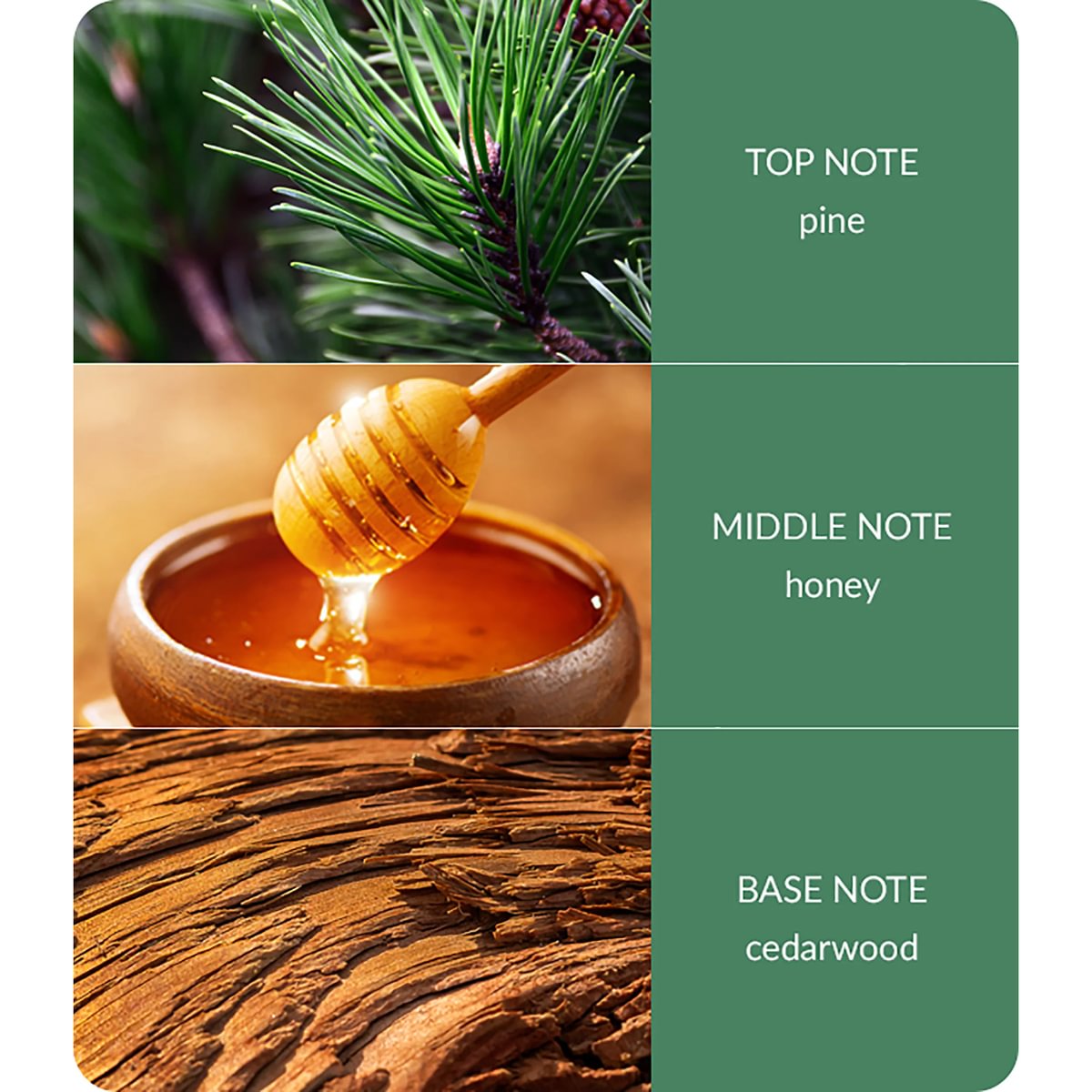 Heart & Home Essential Oil - Christmas Tree