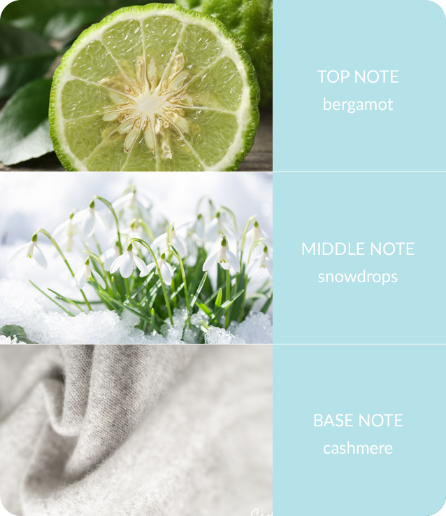 Heart & Home Essential Oil - Snowflake Sparkle