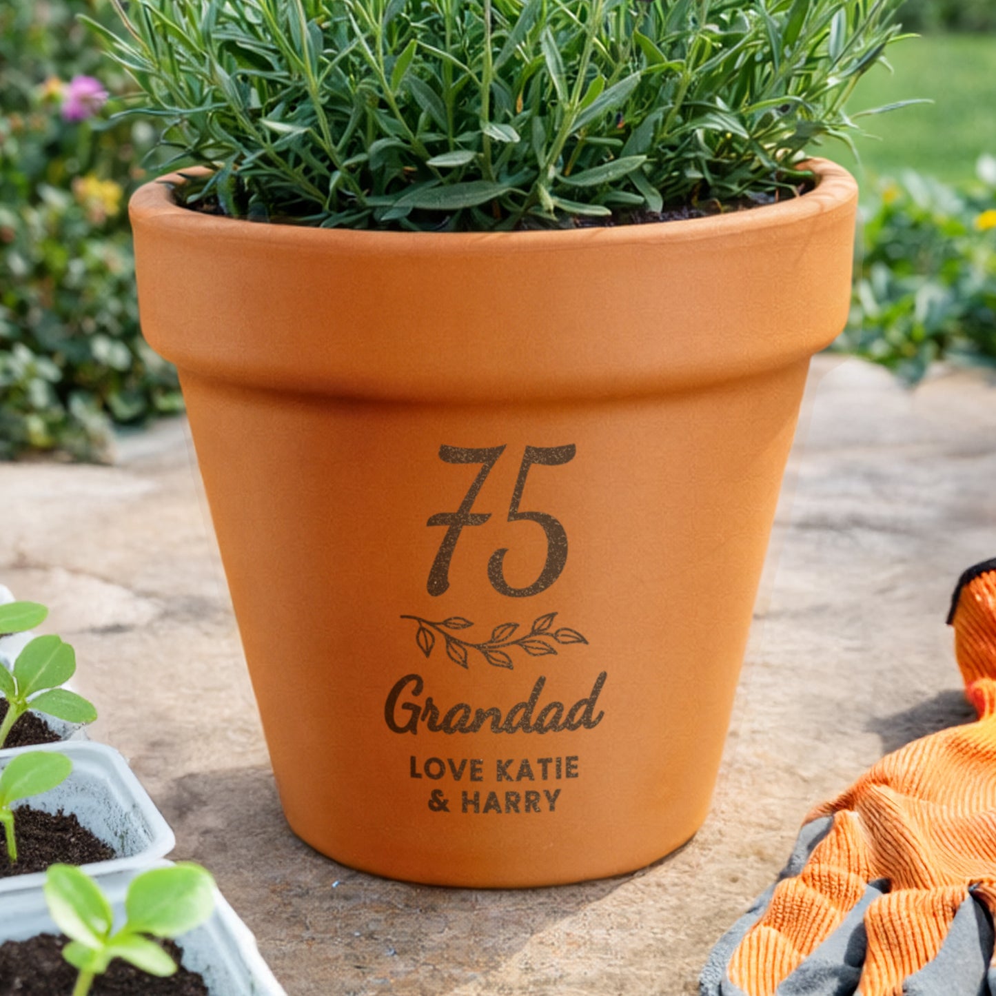Age 70 Gift - Personalised Terracotta Plant Pot