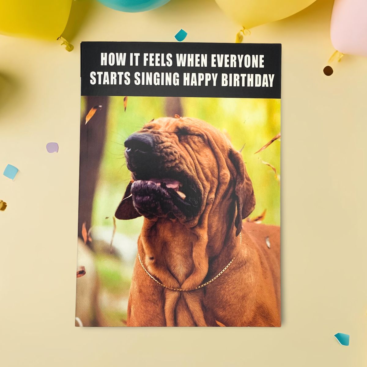 Memes Funny Birthday Card - Singing Dog