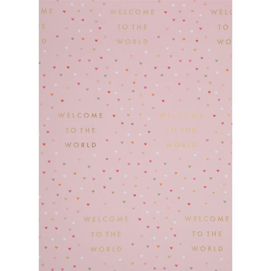 Giftwrap - Luxury Welcome To The World Girl Wrapping Paper