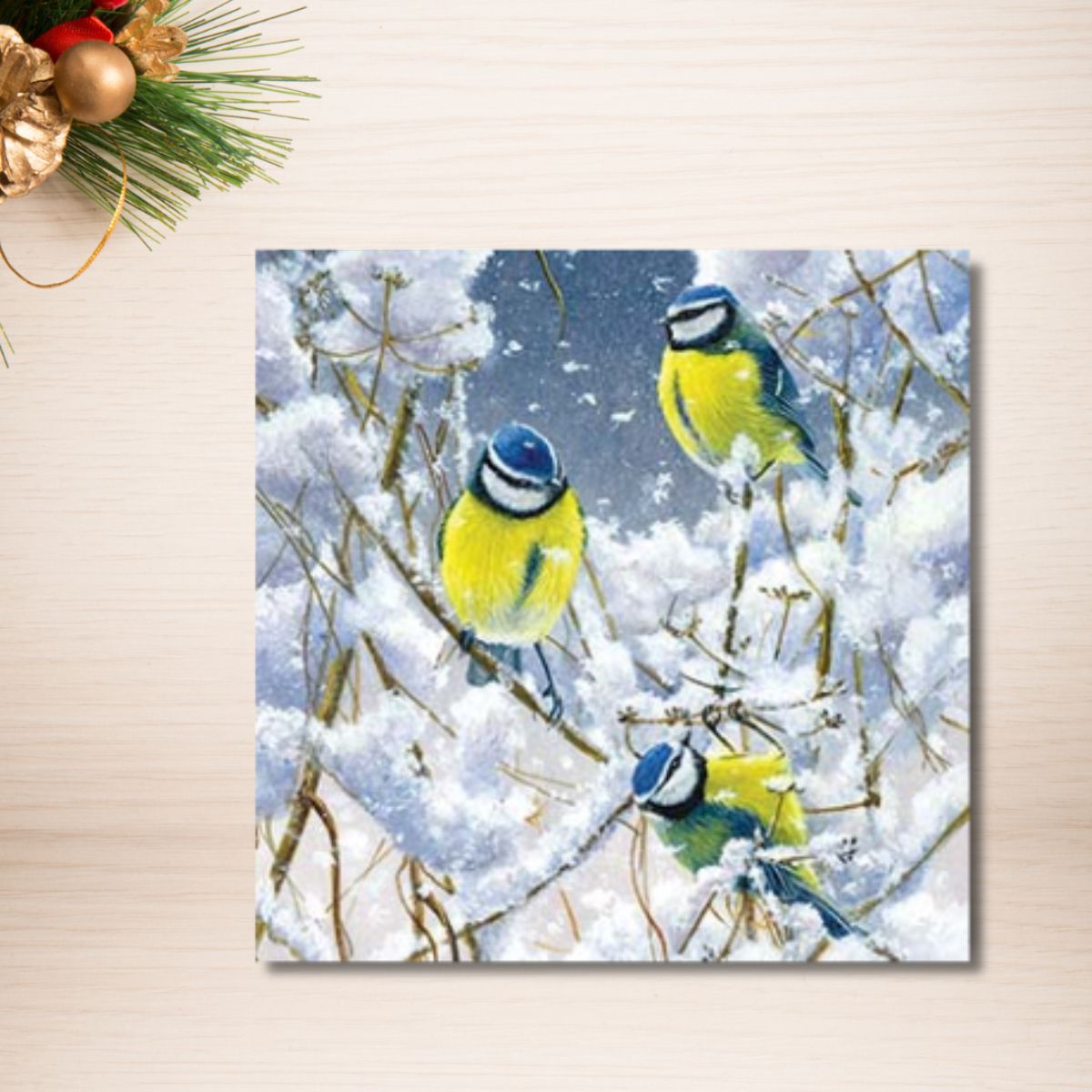 Charity Christmas Cards - 8 x Snowy Blue Tits