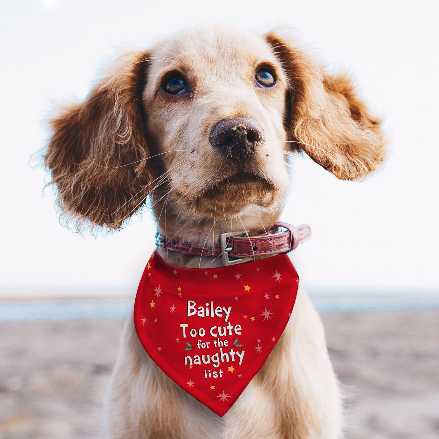 Personalised Dog Bandana Too Cute For The Naughty List