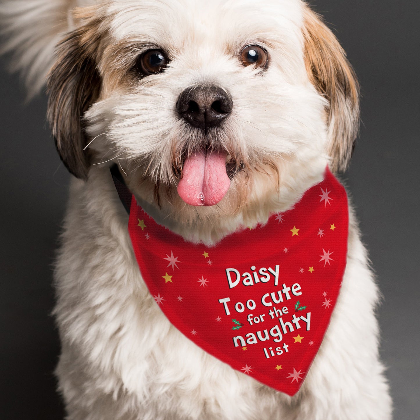Personalised Dog Bandana Too Cute For The Naughty List