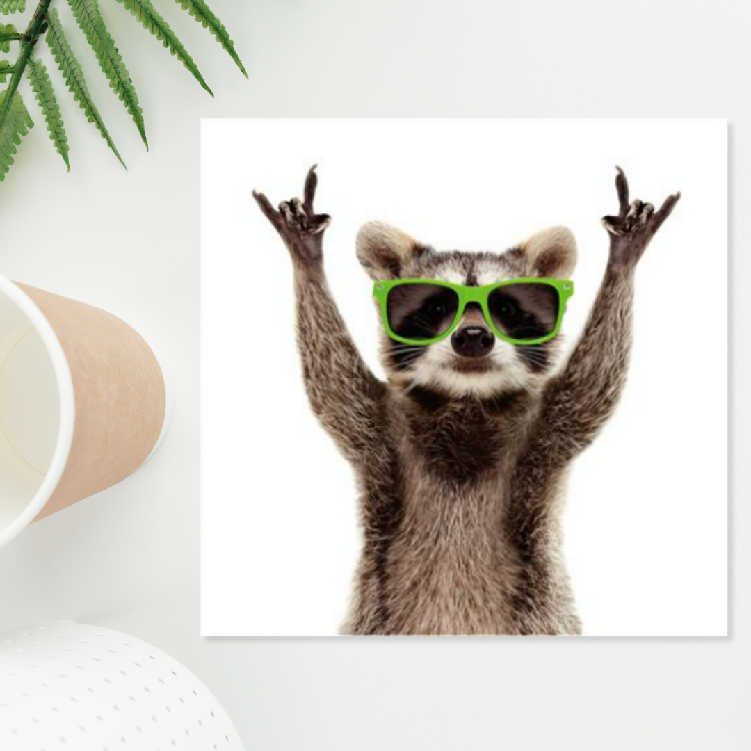 White square card with racoon in sunglasses