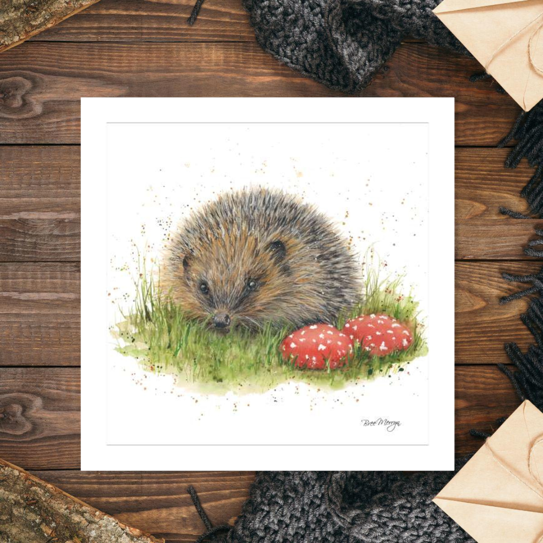 Blank card featuring hedgehog with grass and coloured stones