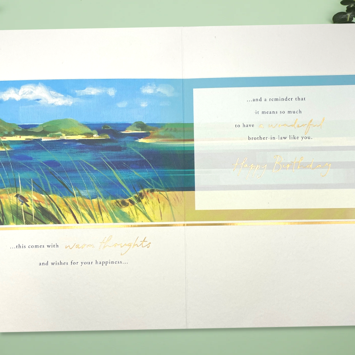 Inside Image Showing Layout And Printed Insert