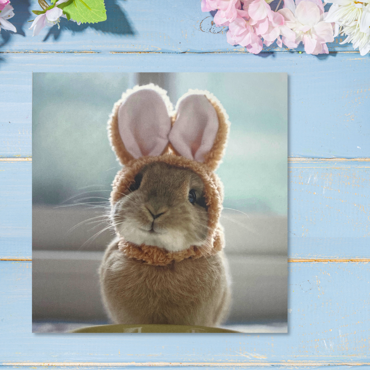 Open Easter Card - Photographic Bunny Ears