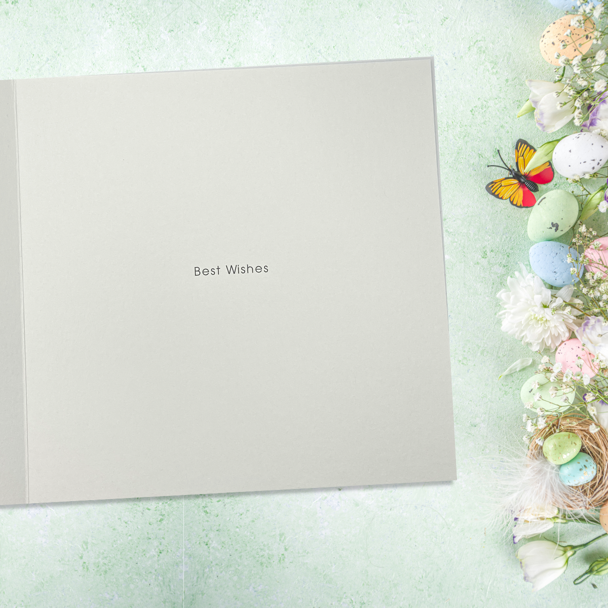 Open Easter Card - Photographic Chicks