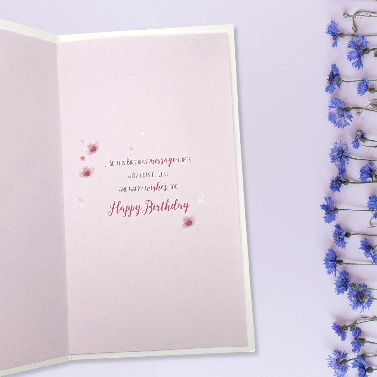 Inside Image Showing Layout And Printed Insert