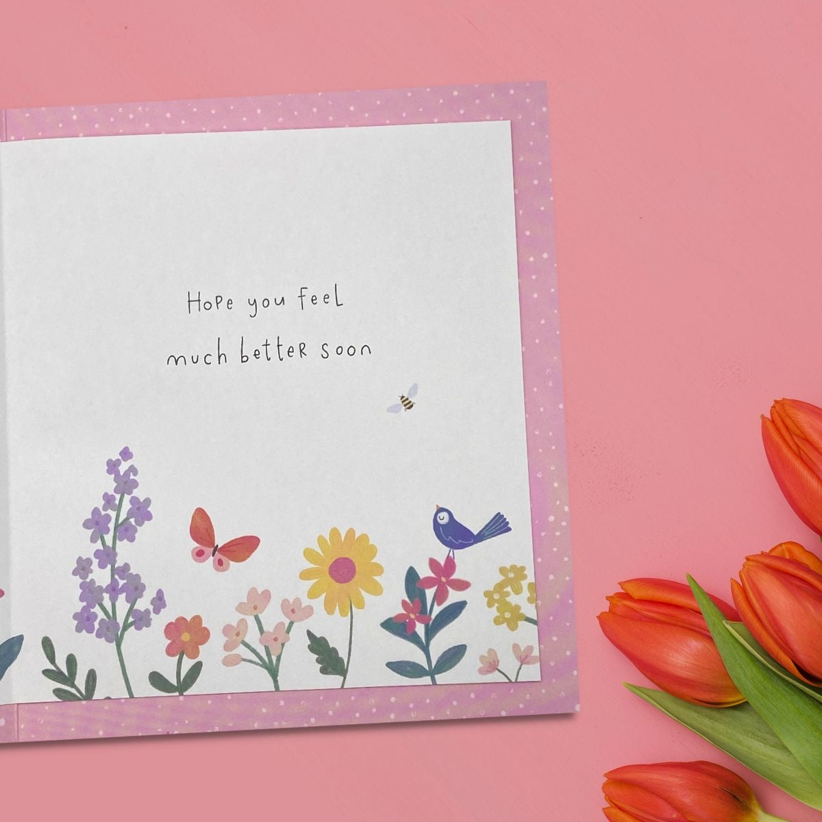 Inside Image Showing Layout And Printed Insert