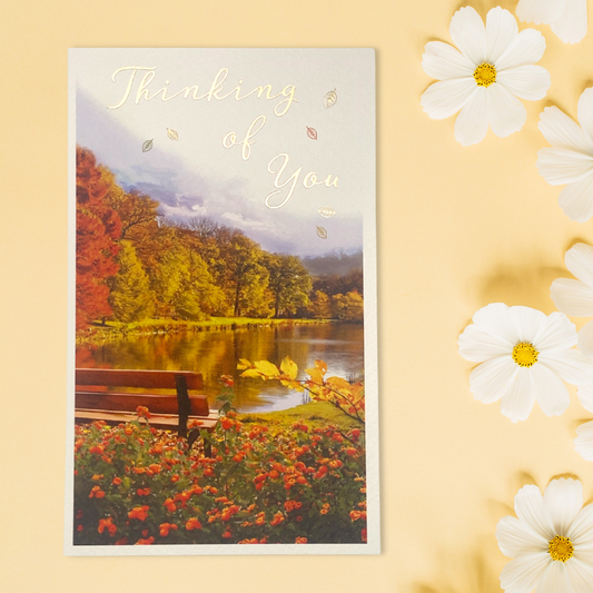 Front image with autumnal lake scene and bench