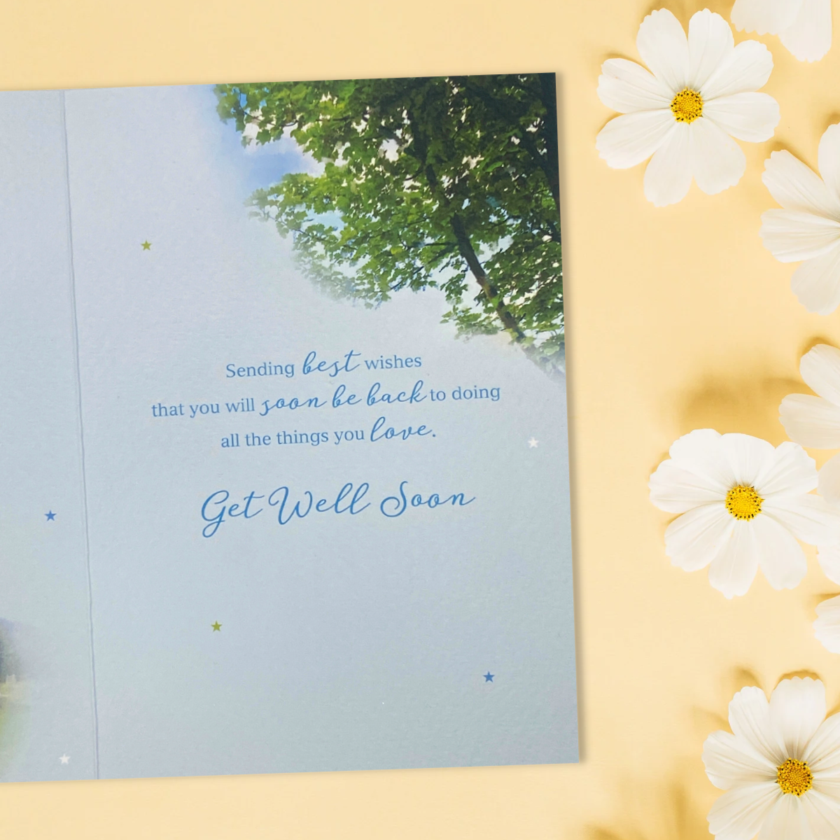 Inside image with colour print inside with trees and blue text