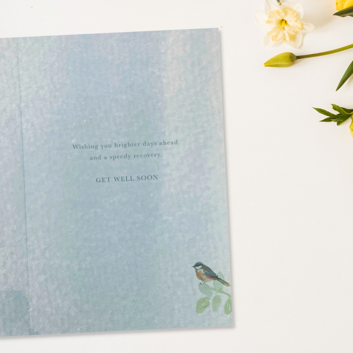 inside image with blue watercolour board and verse with bird