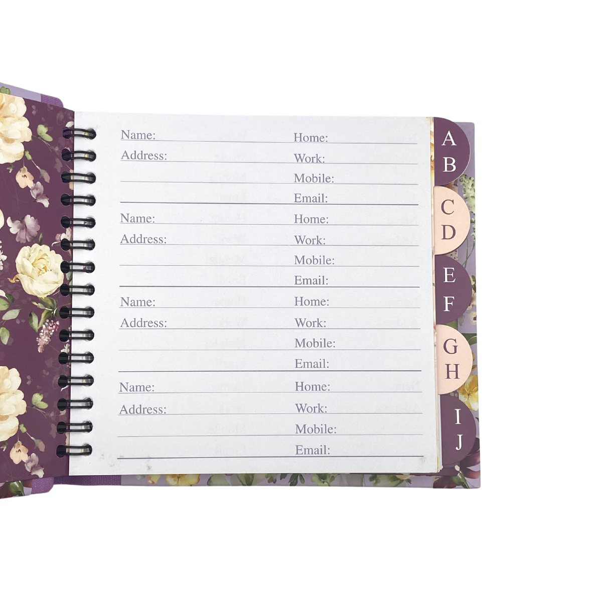 Inside image with layout and dividers