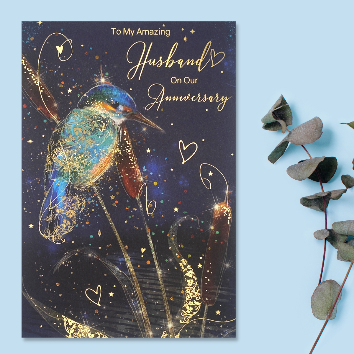 Front image of bright colour Kingfisher on dark background with gold foil details