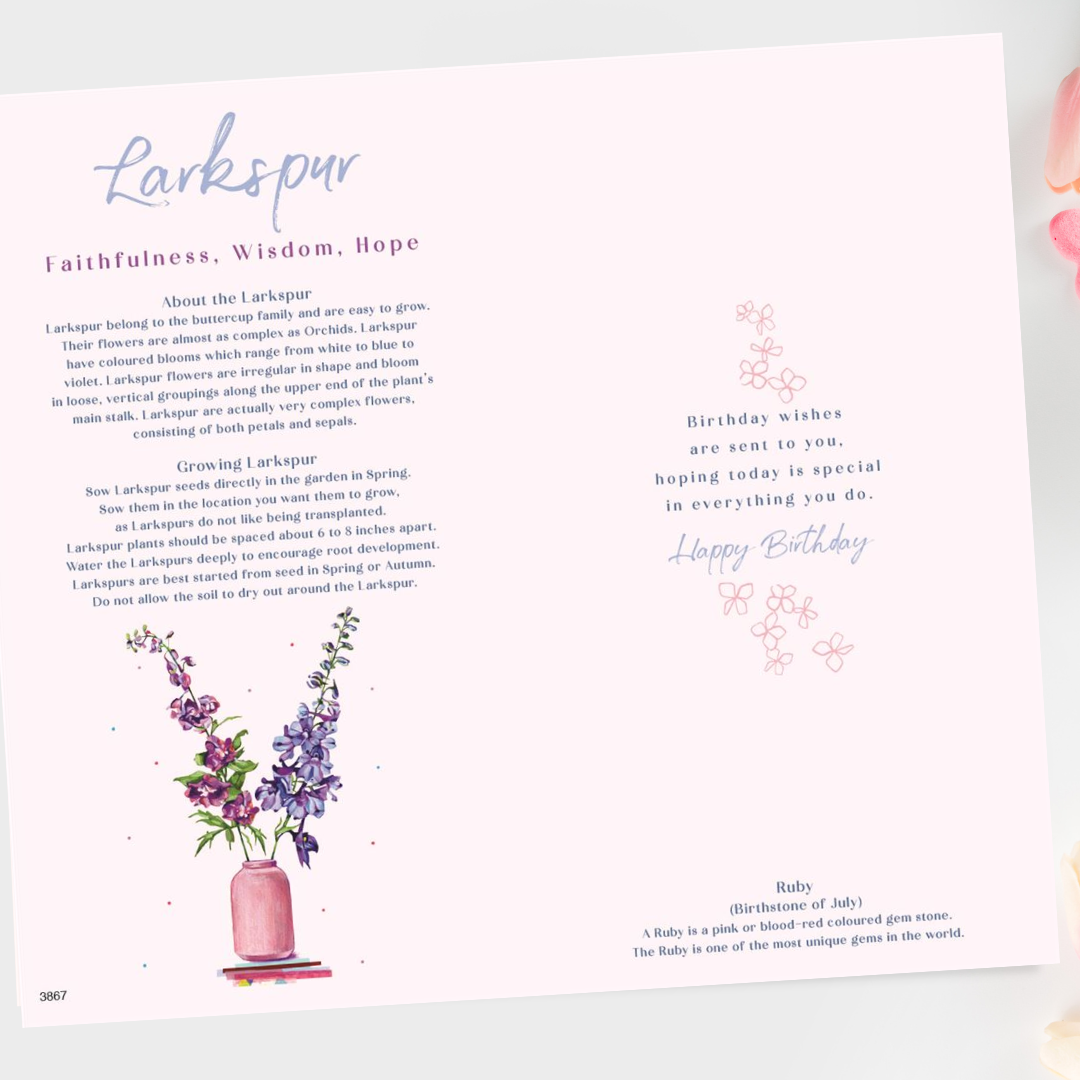 Inside image with information on the Larkspur flower and coloured illustrations