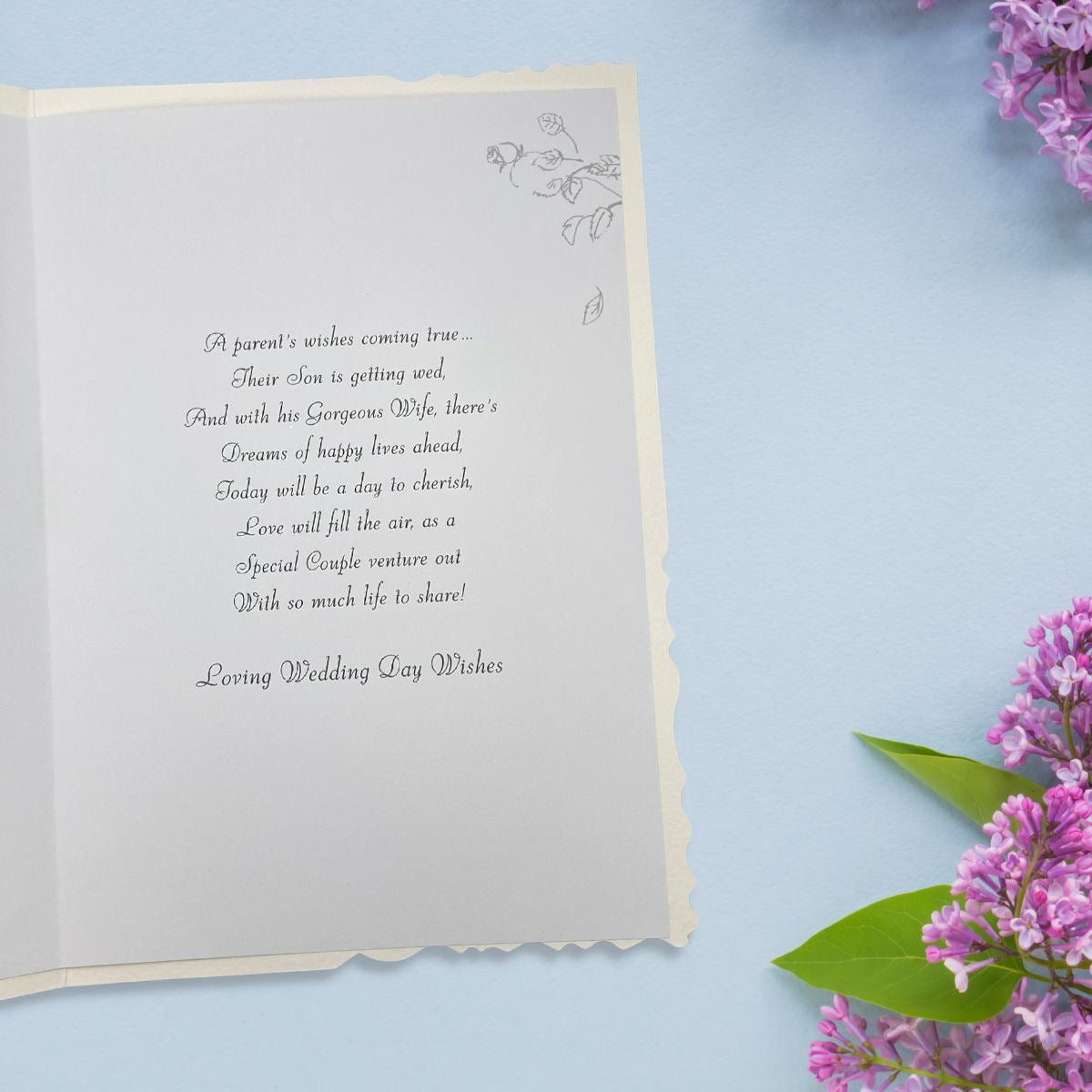 Inside Image Showing Layout And Printed Insert