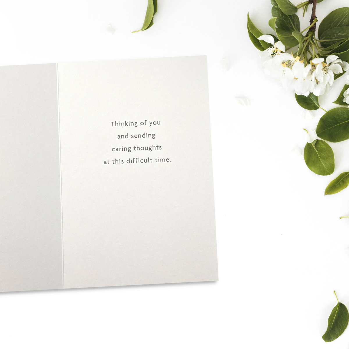 Sympathy Card - Blue Butterflies
