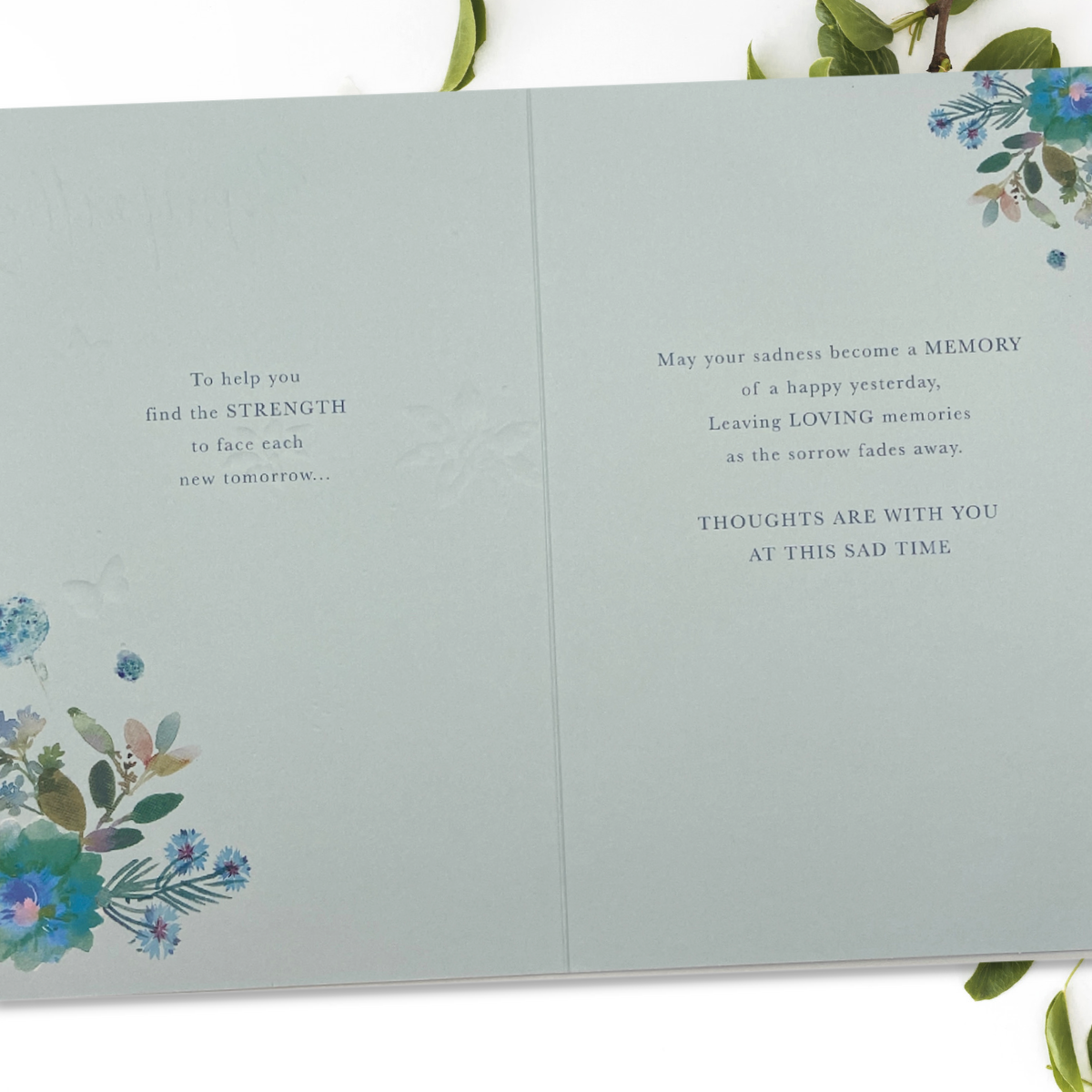 Inside image with full colour illustrations and verse