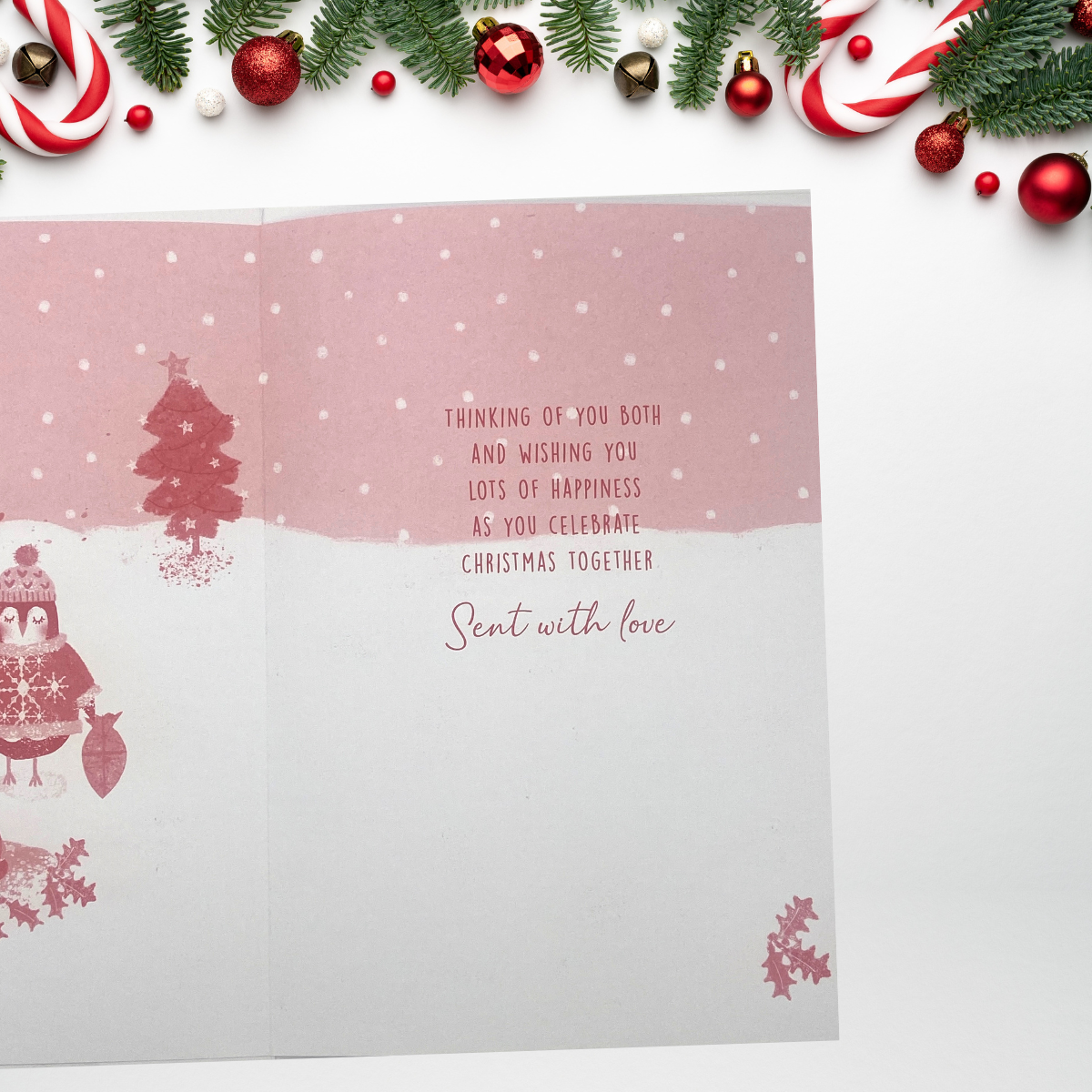 Inside image with red print and illustrations