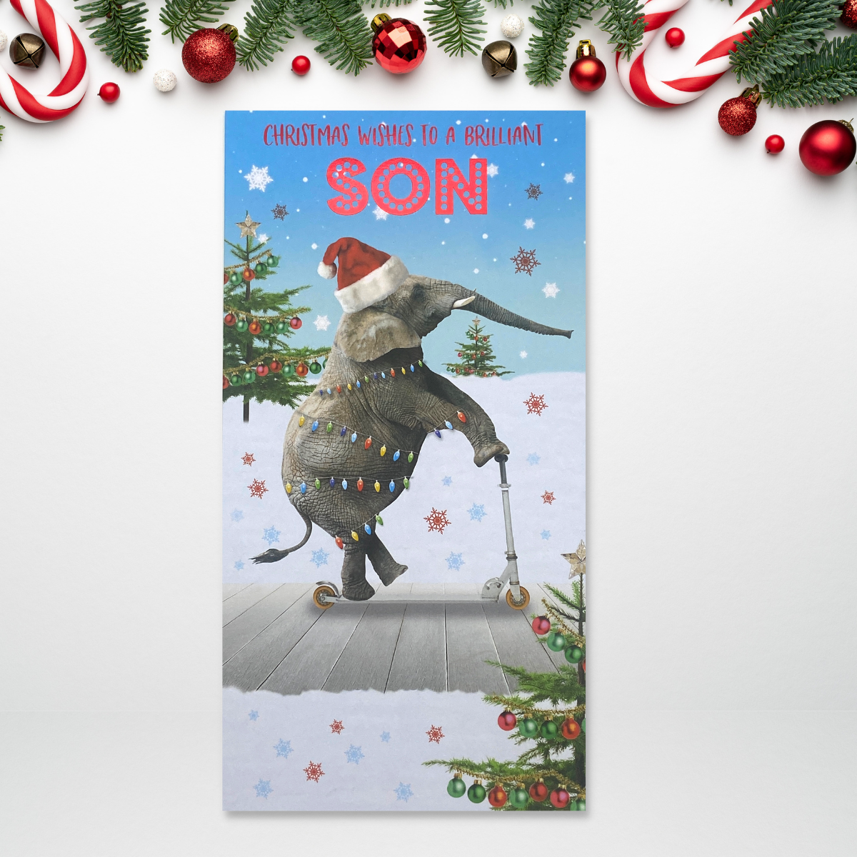 Slim card with elephant on scooter in the snow