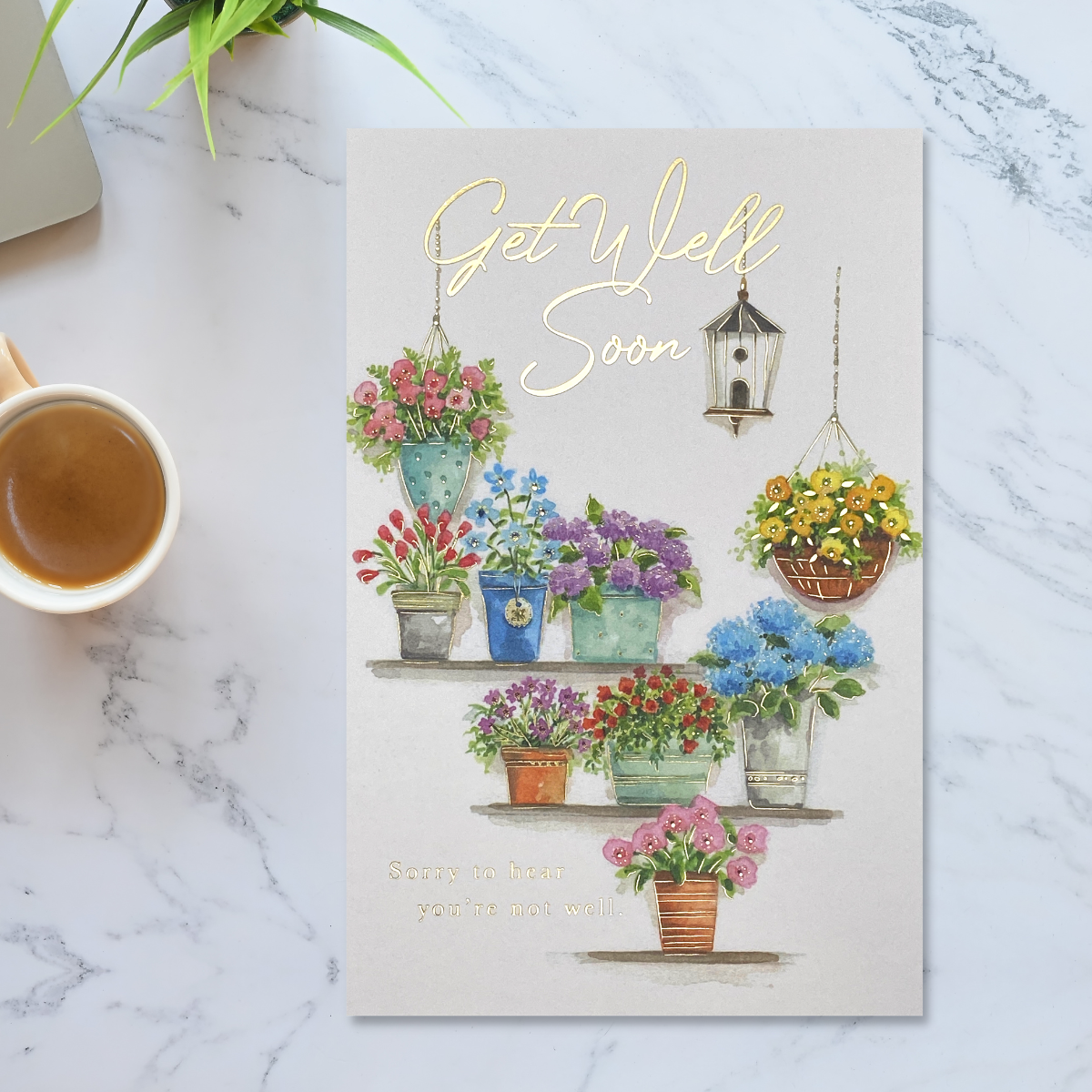 White card with selection of floral gardening pots