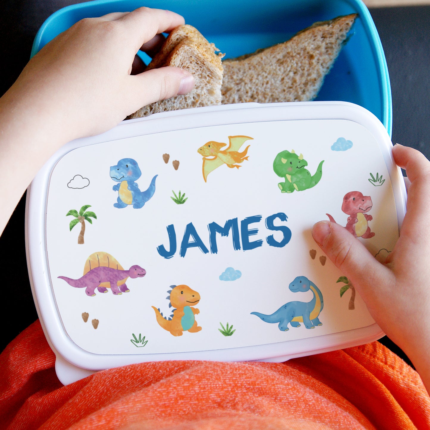 Lunch box with dinosaur designs and 'JAMES' printed on it, held by a child.