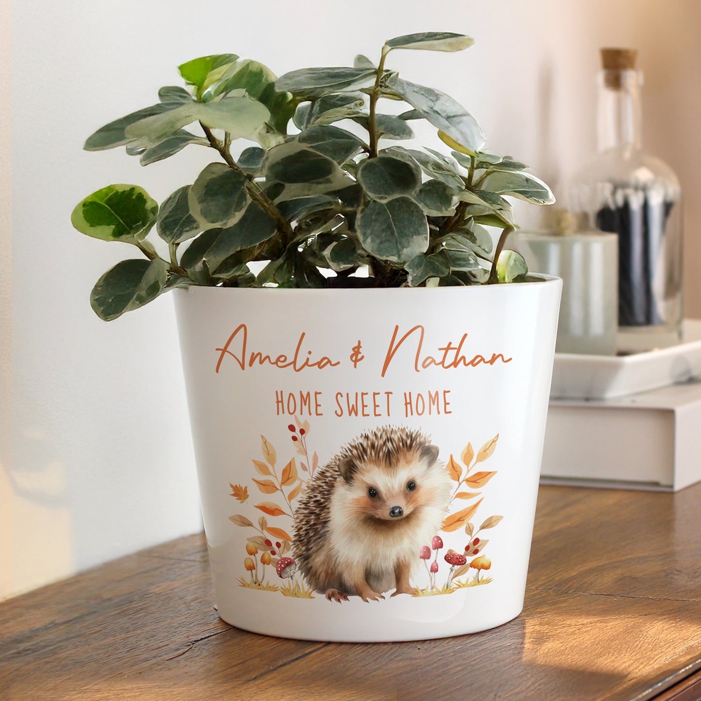 Potted plant in a personalised decorative pot with a hedgehog design and text on a wooden surface.