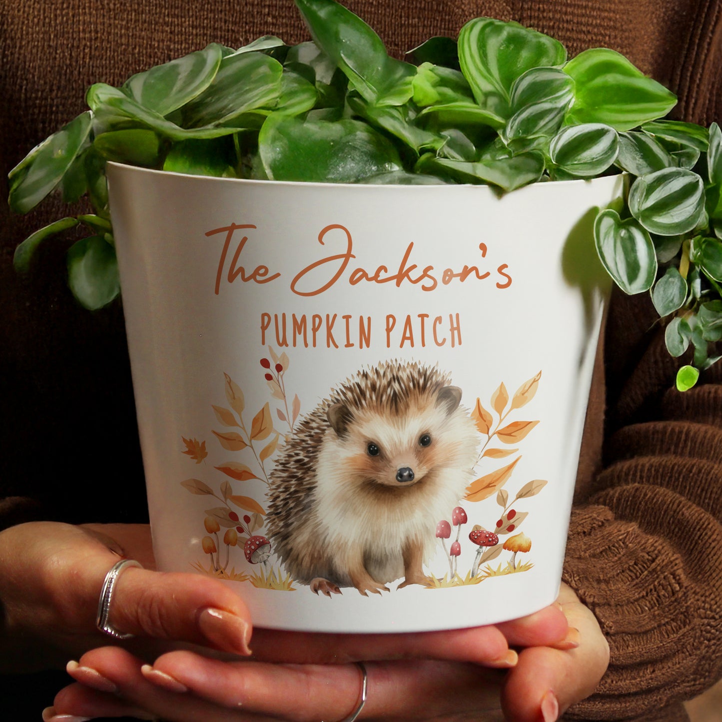 White pot with hedgehog design and 'The Jackson's Pumpkin Patch' text, held by hands.
