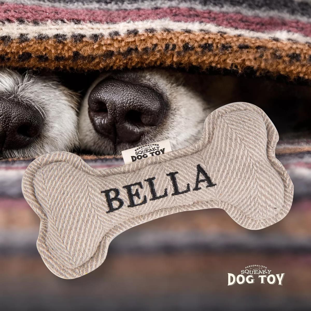 Squeaky Dog Toy - Dog Names