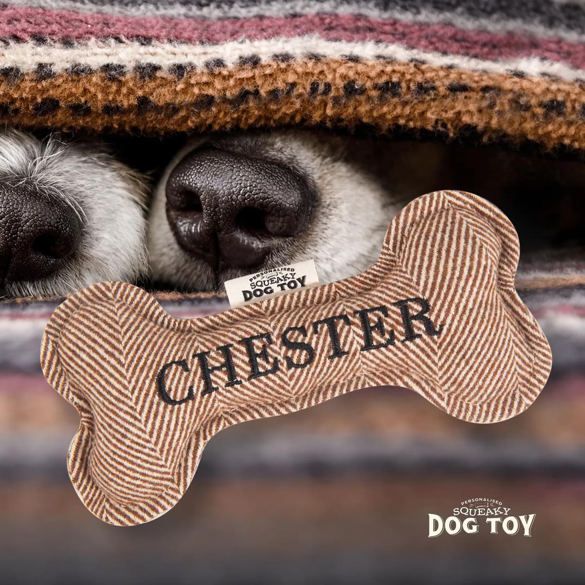 Squeaky Dog Toy - Dog Names