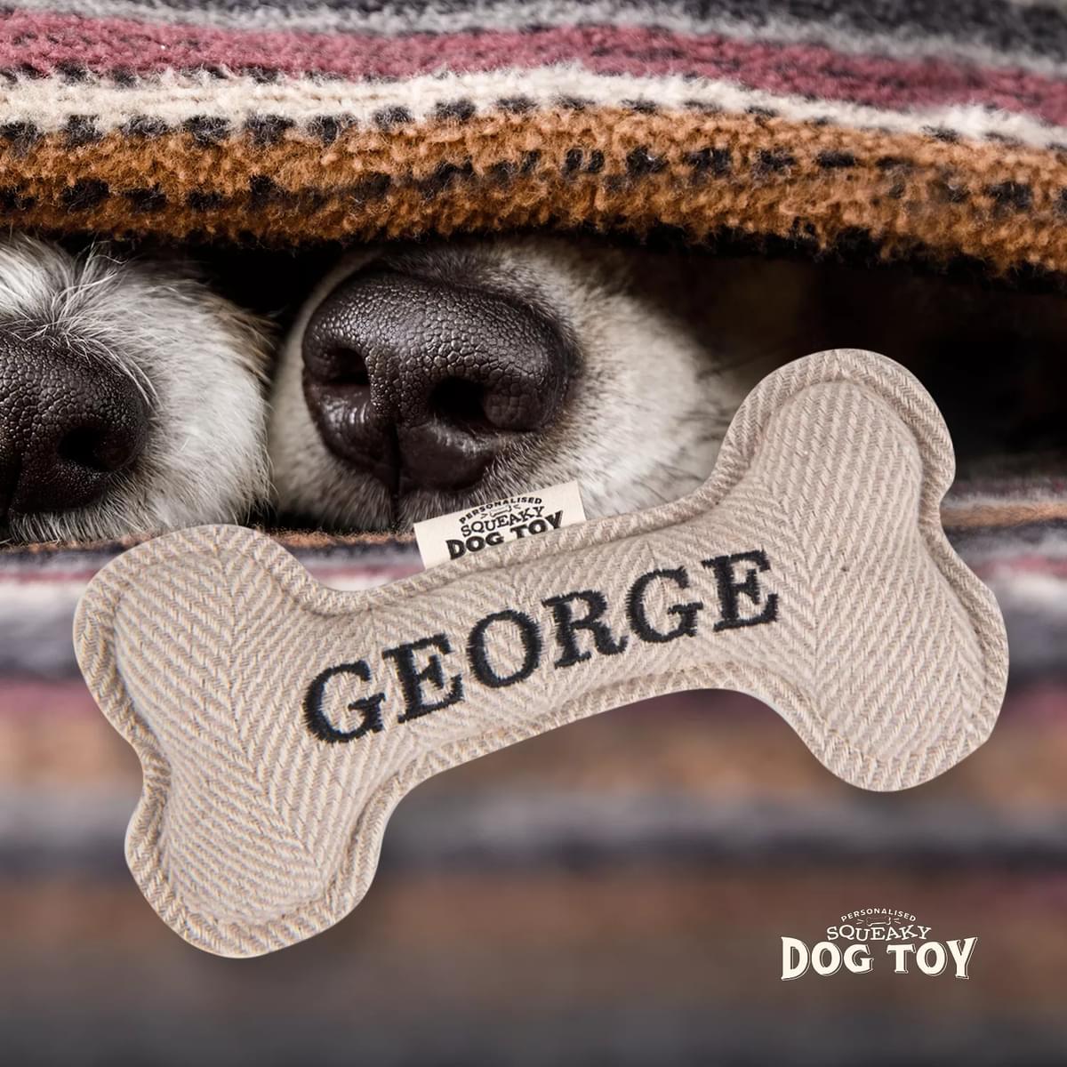 Named Squeaky Dog Toy- George. Bone shaped herringbone tweed pattern dog toy.