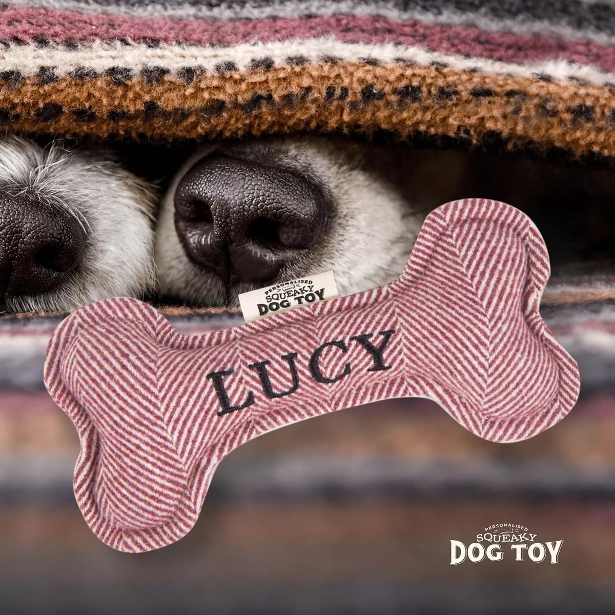 Named Squeaky Dog Toy- Lucy. Bone shaped herringbone tweed pattern dog toy.
