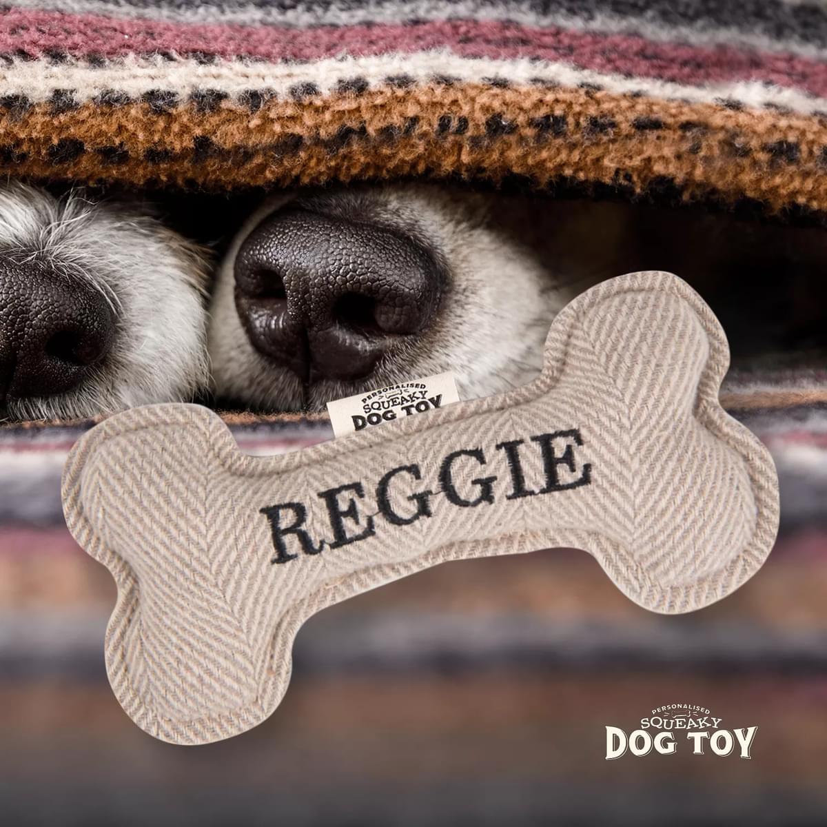 Squeaky Dog Toy - Dog Names