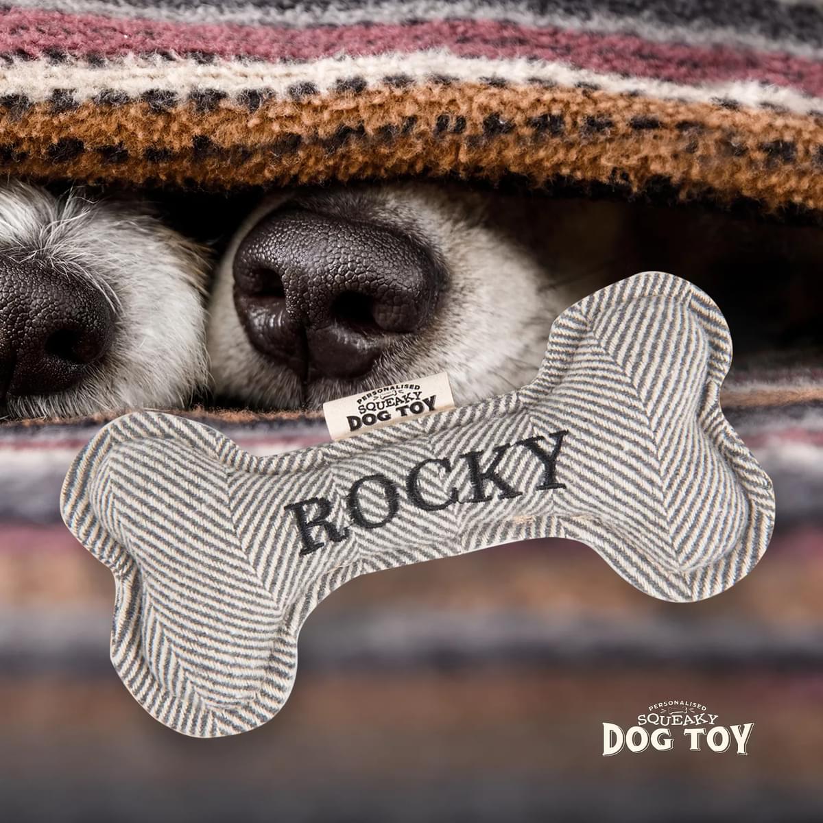 Squeaky Dog Toy - Dog Names