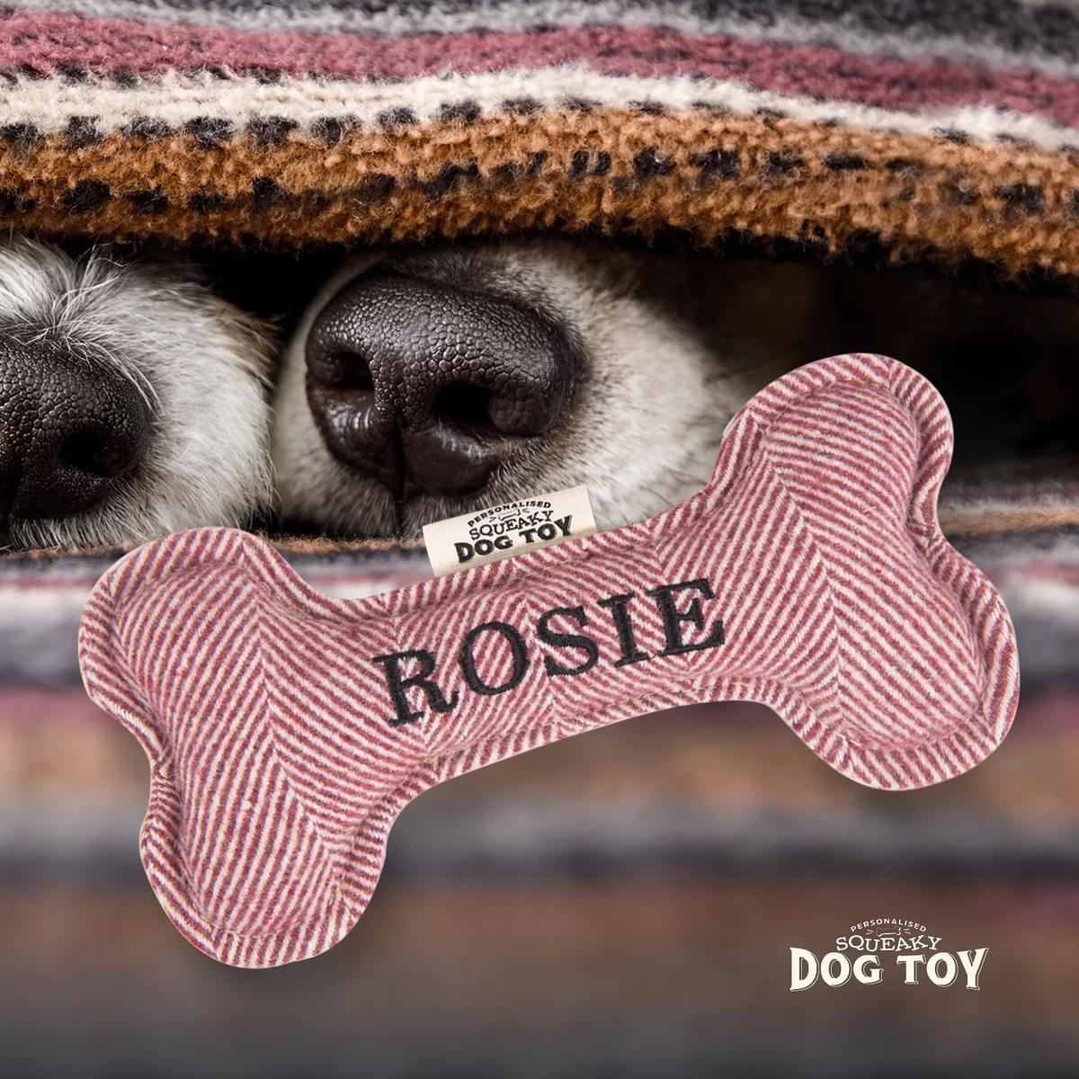 Squeaky Dog Toy - Dog Names