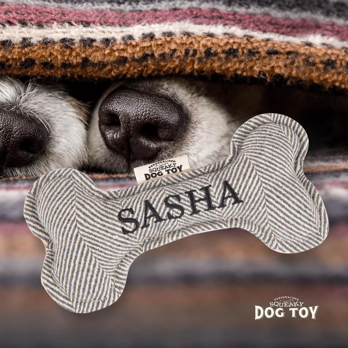 Named Squeaky Dog Toy- Sasha. Bone shaped herringbone tweed pattern dog toy.