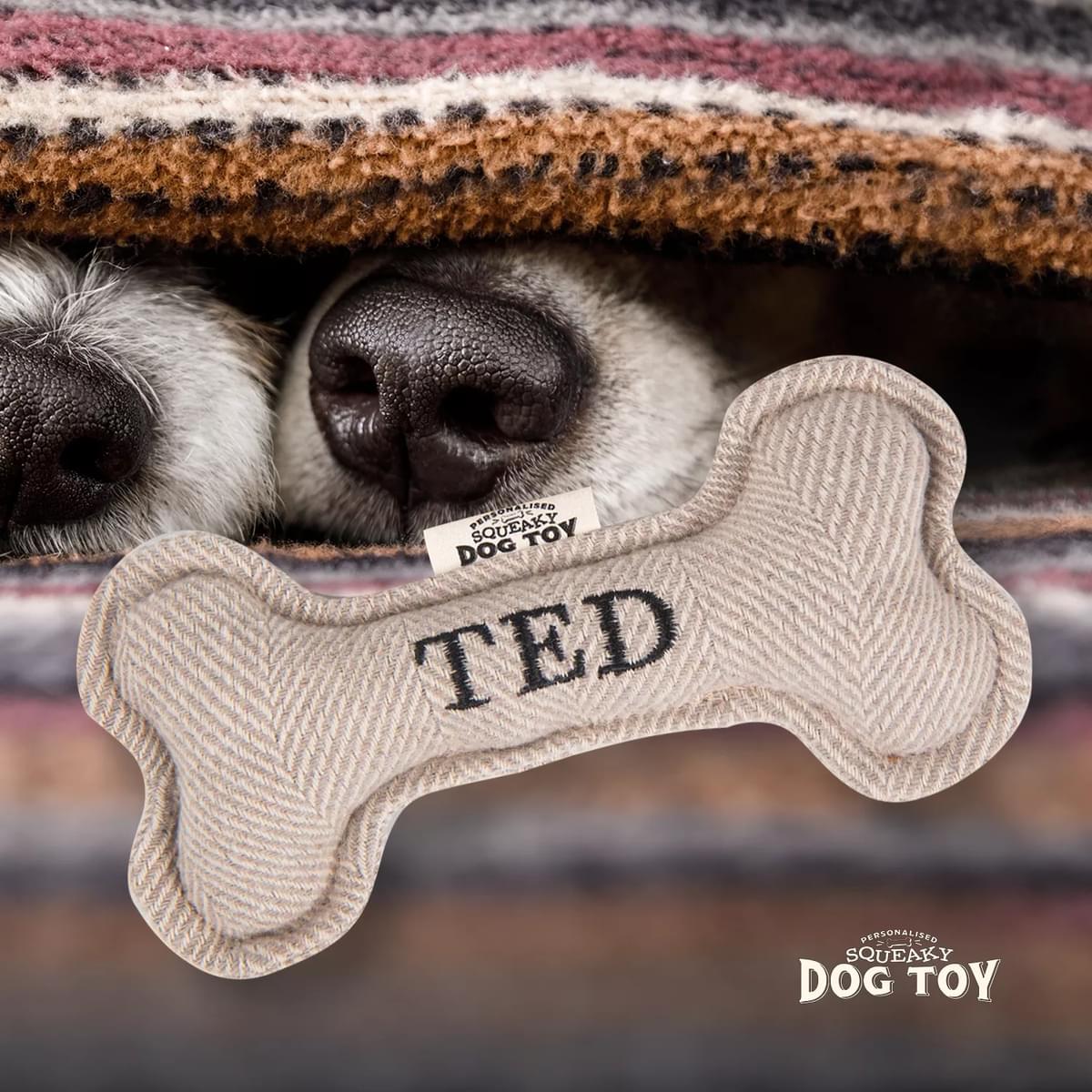 Named Squeaky Dog Toy- Ted. Bone shaped herringbone tweed pattern dog toy.