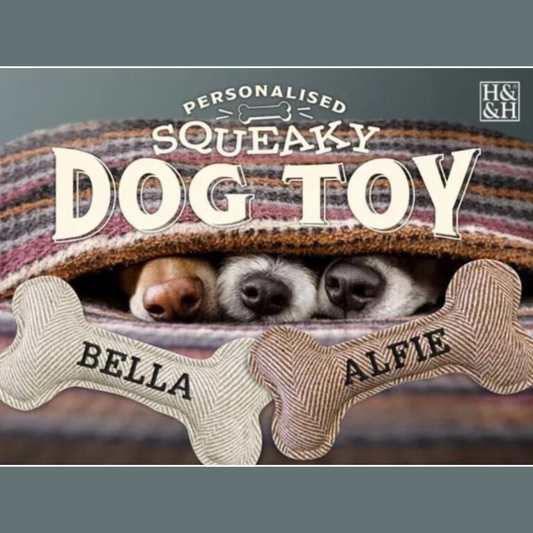 Squeaky Dog Toy Lifestyle image showing the noses of 3 dogs peeking out from under a blanket. Squeaky bone shaped toys for Bella and Alfie shown in the foreground.