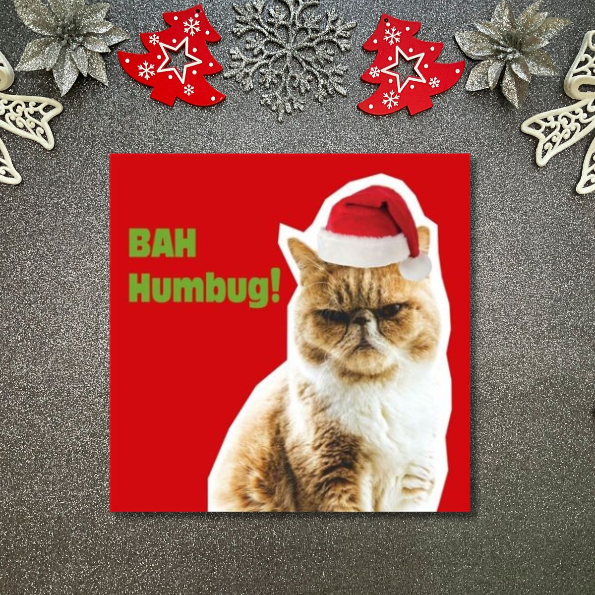 Funny Christmas Card - Funkymals Grumpy Cat
