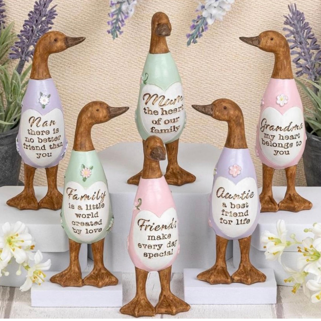 Decorative Duck - Friends