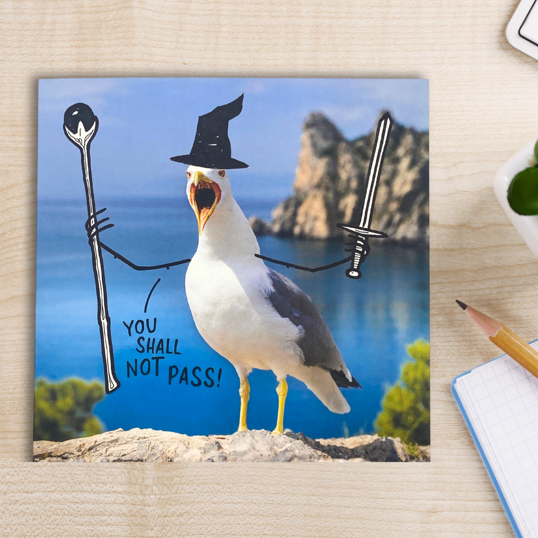 Chicks With Sticks Funny Birthday Card - Seagull