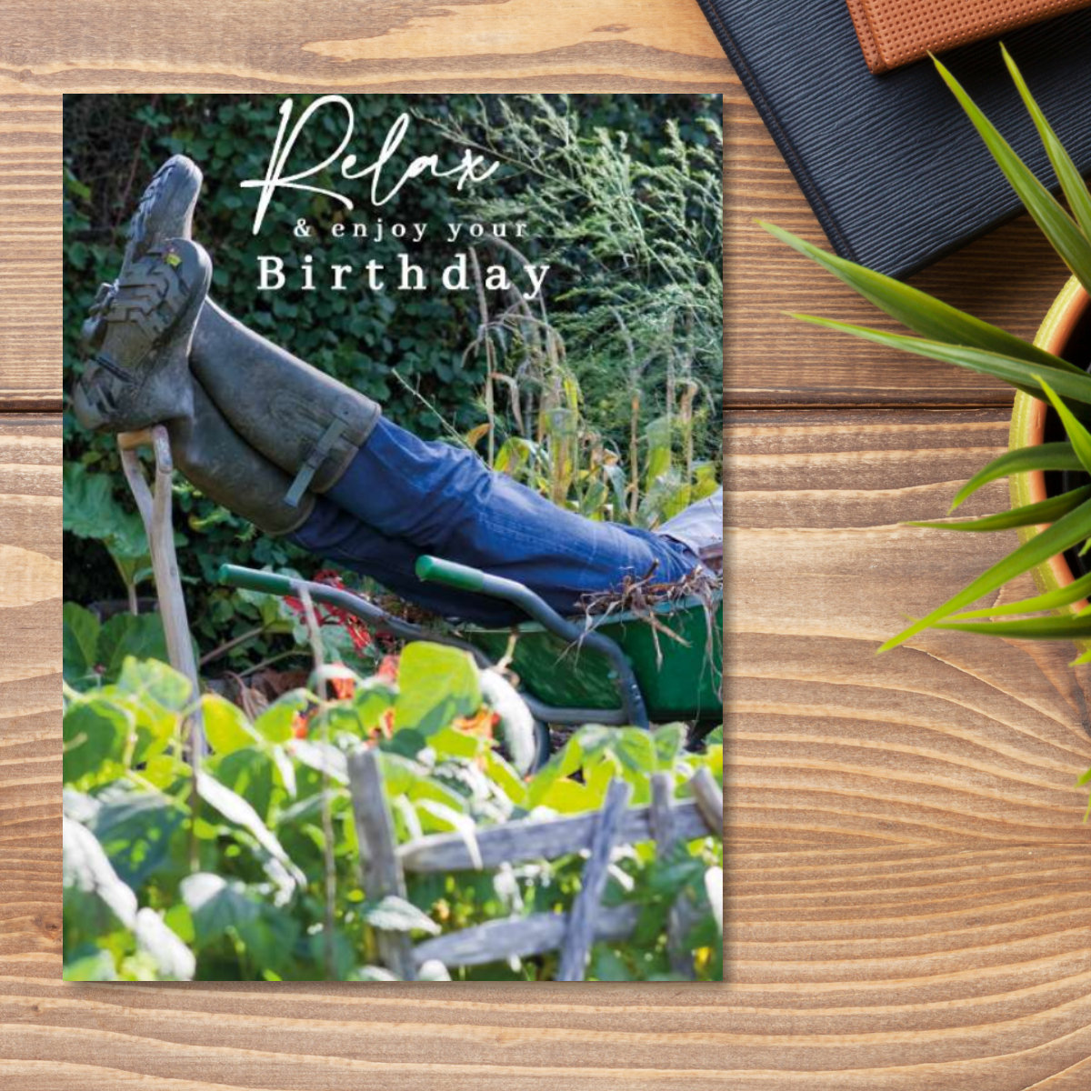 Traditional Birthday Card - Relax In The Garden
