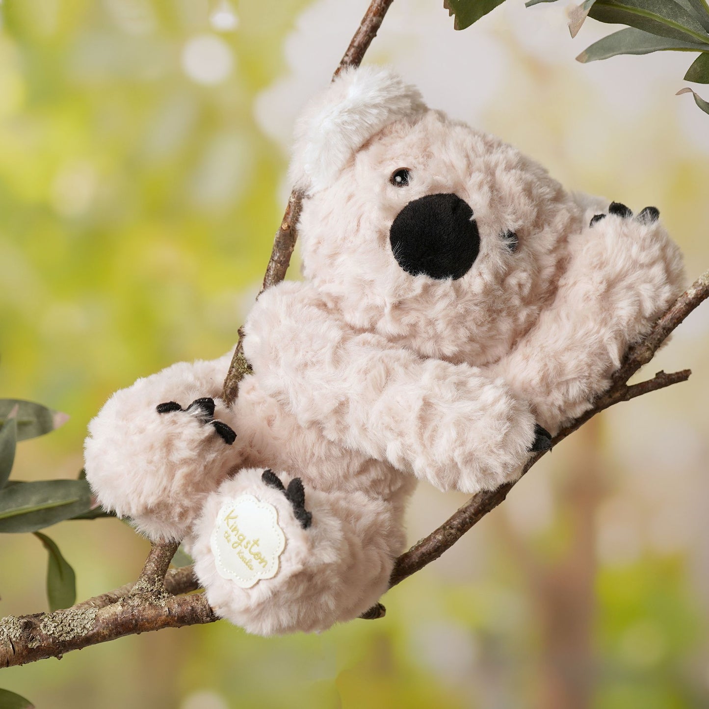 Softies - Kingston The Plush Sitting Light Brown Koala Bear 22 cm