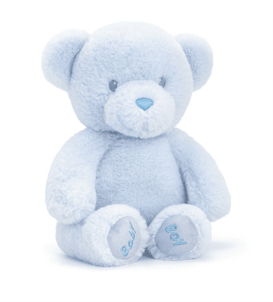 Baby Bear Blue Teddy Bear