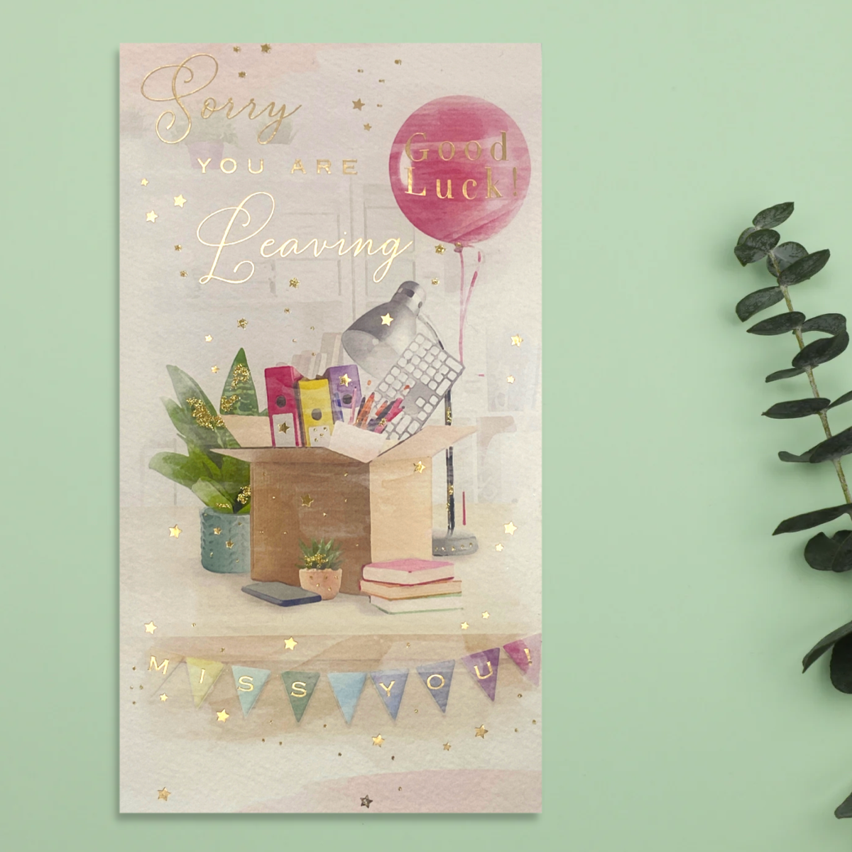 Sorry You're Leaving Card - Brighstone Good Luck Box & Balloons