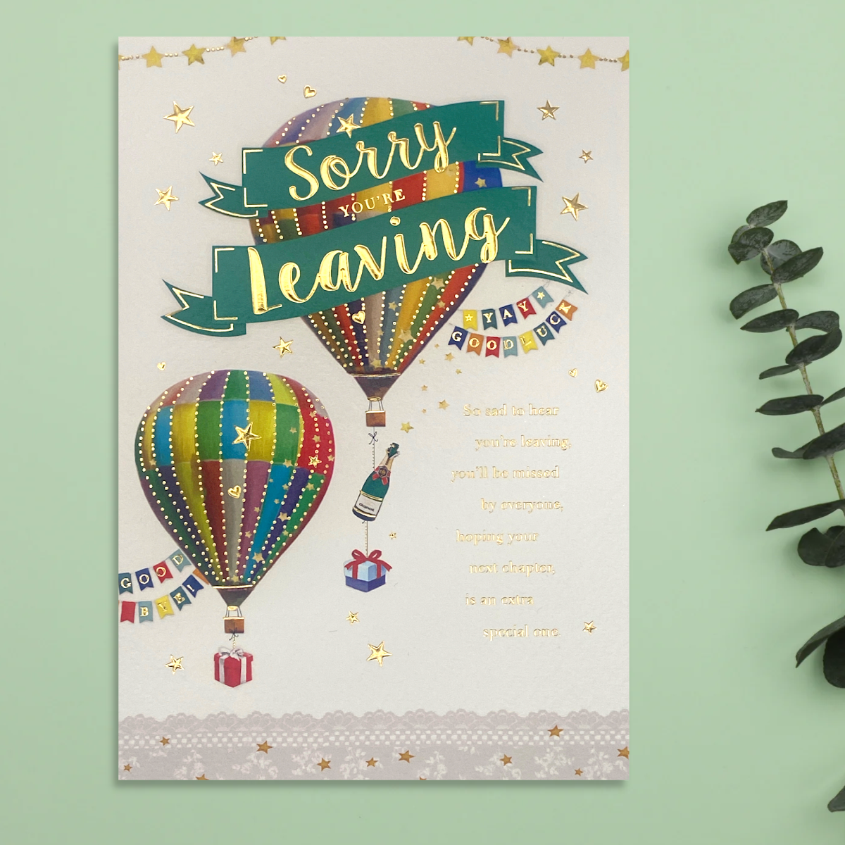 Sorry You're Leaving Card - Avec Amour Hot Air Balloons