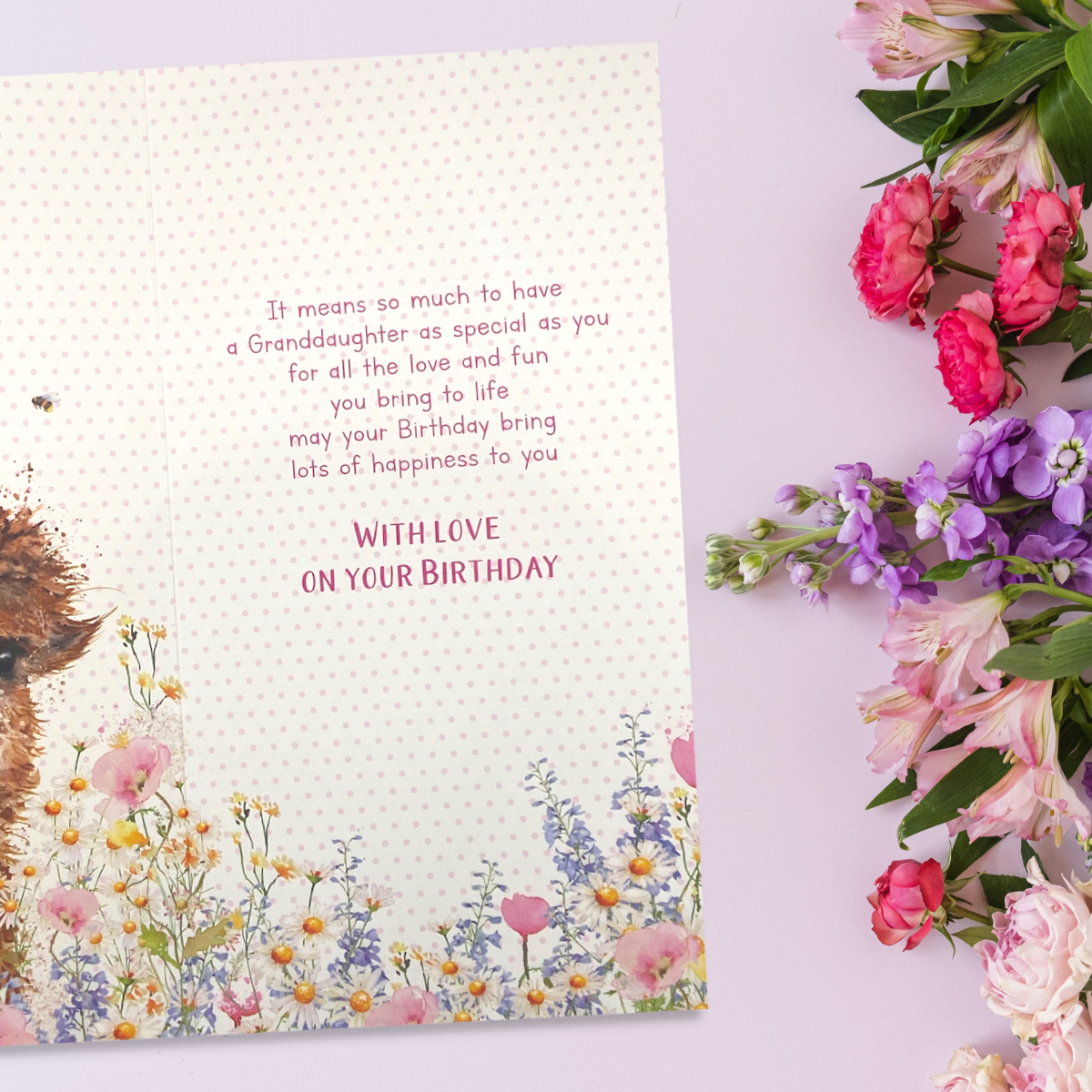 Granddaughter Birthday Card - Alpaca In Flowers