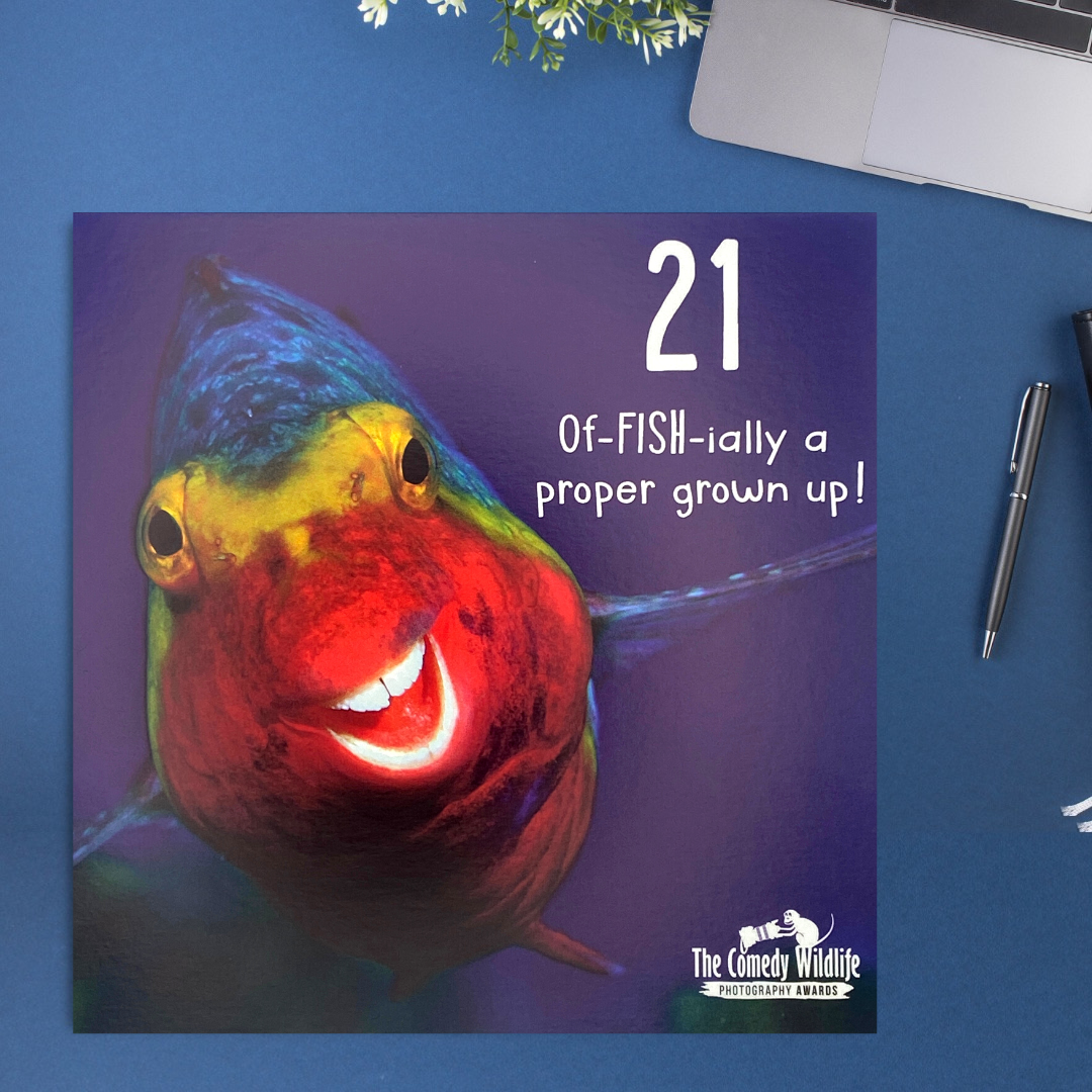 21st Birthday Card - Of-FISH-ially A Proper Grown Up!